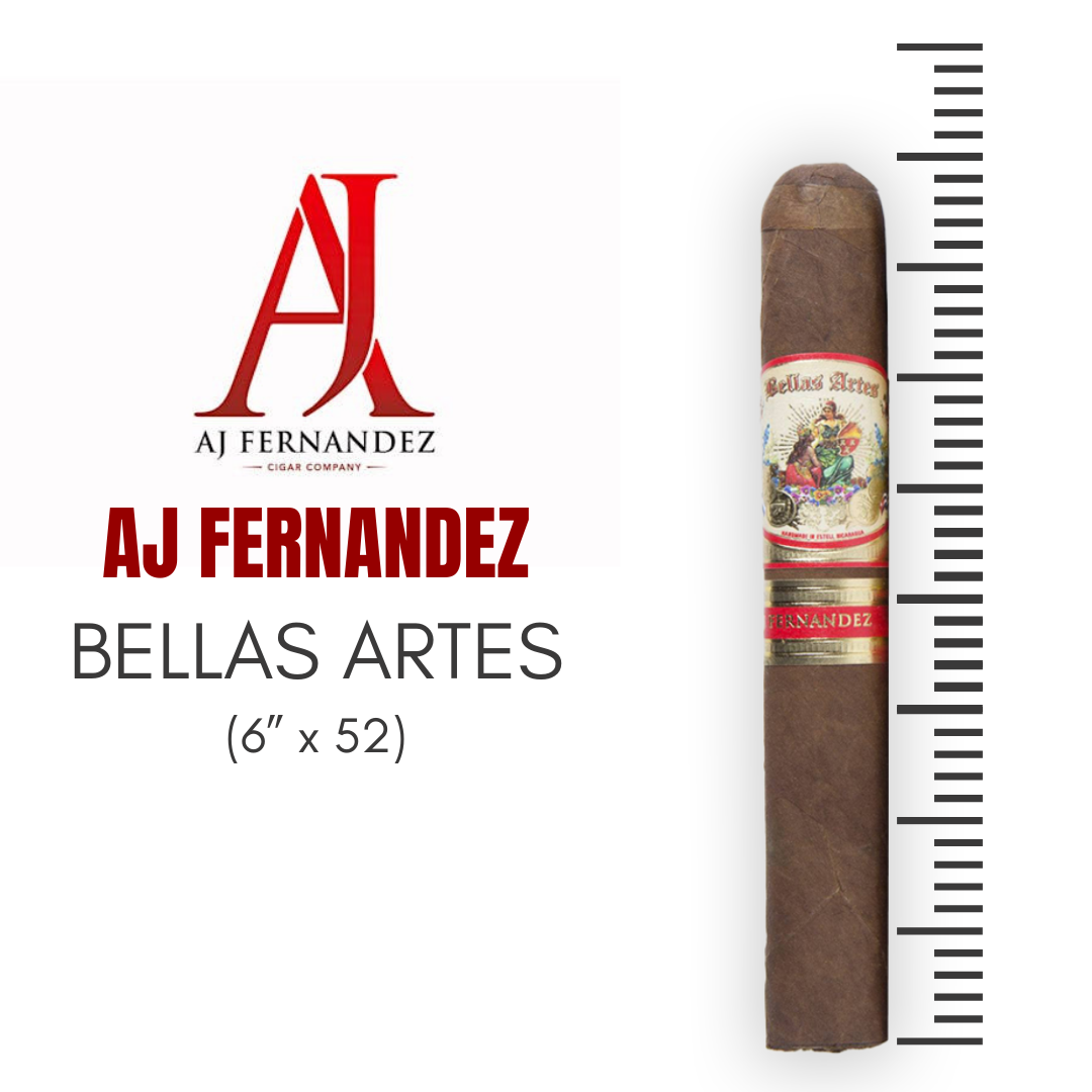 AJ FERNANDEZ - BELLAS ARTES