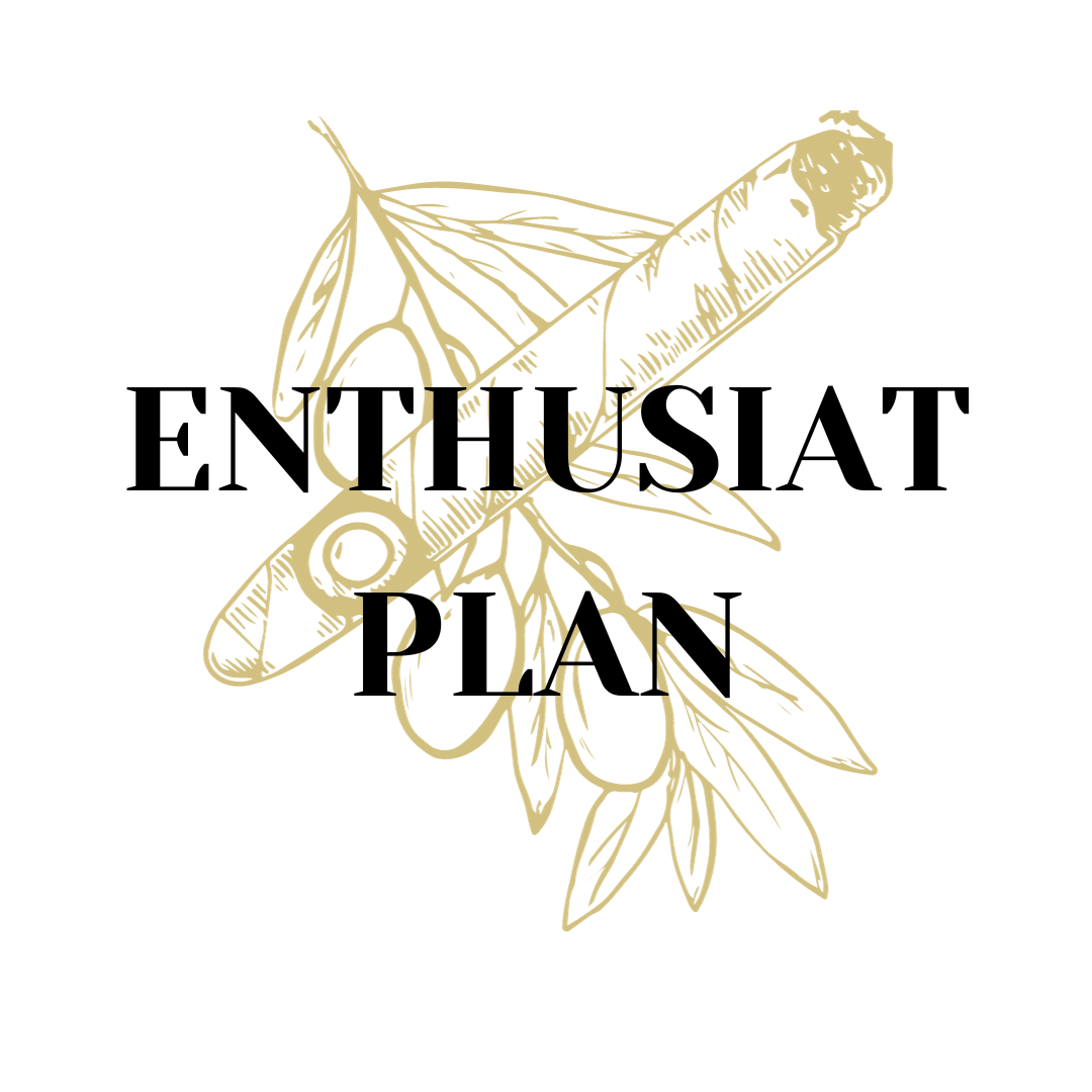 ENTHUSIAST PLAN