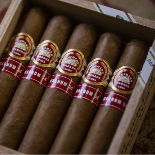 H. UPMANN - MAGNUM 54 Cuban Cigar | Smooth, Creamy Cuban Classic | CigarHaus