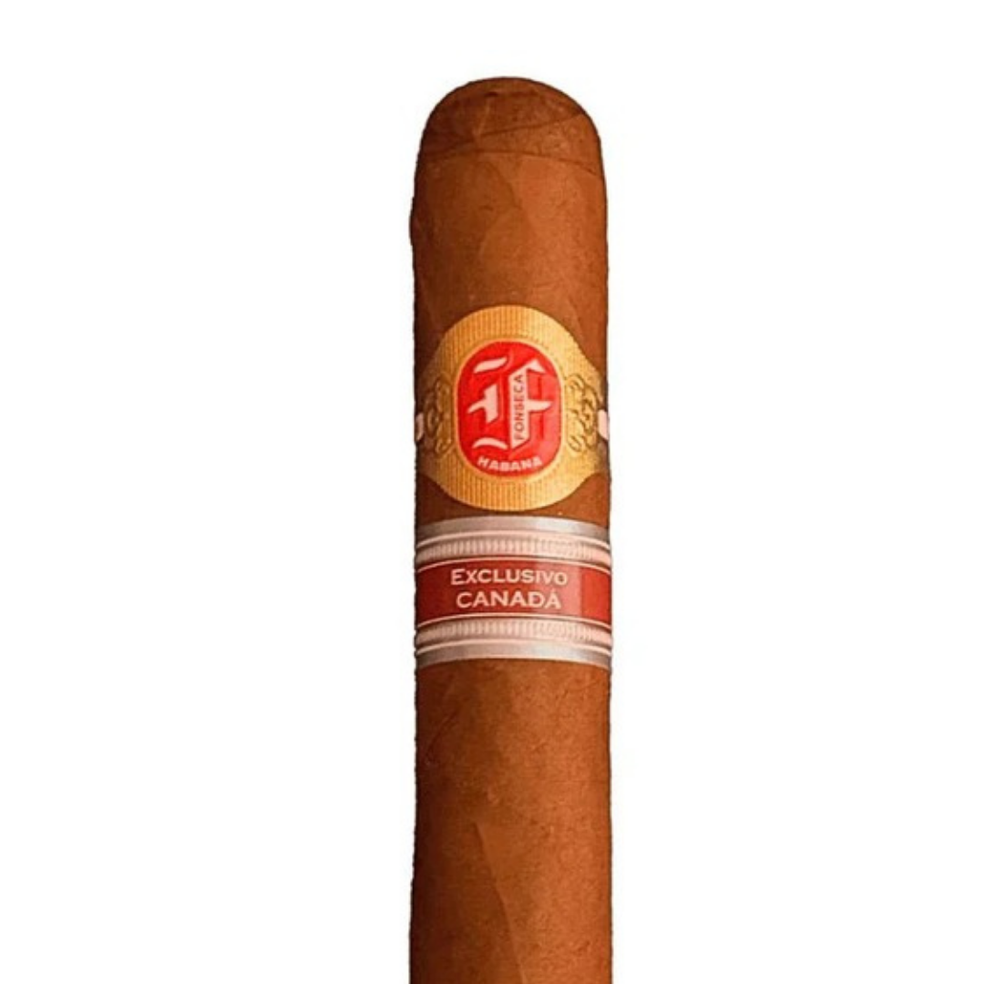 FONSECA - DU NORD REGIONAL EDITION