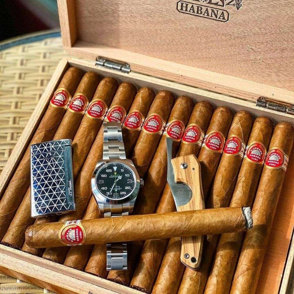 H. Upmann Regalias Cigar – Classic Cuban Petit Corona | CigarHaus