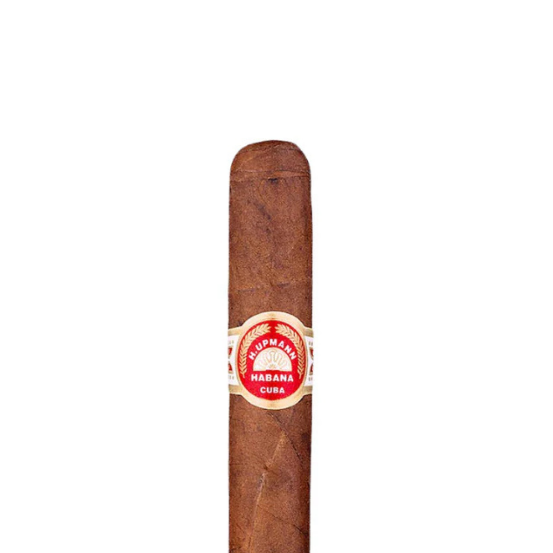 H. Upmann Regalias Cigar – Classic Cuban Petit Corona | CigarHaus