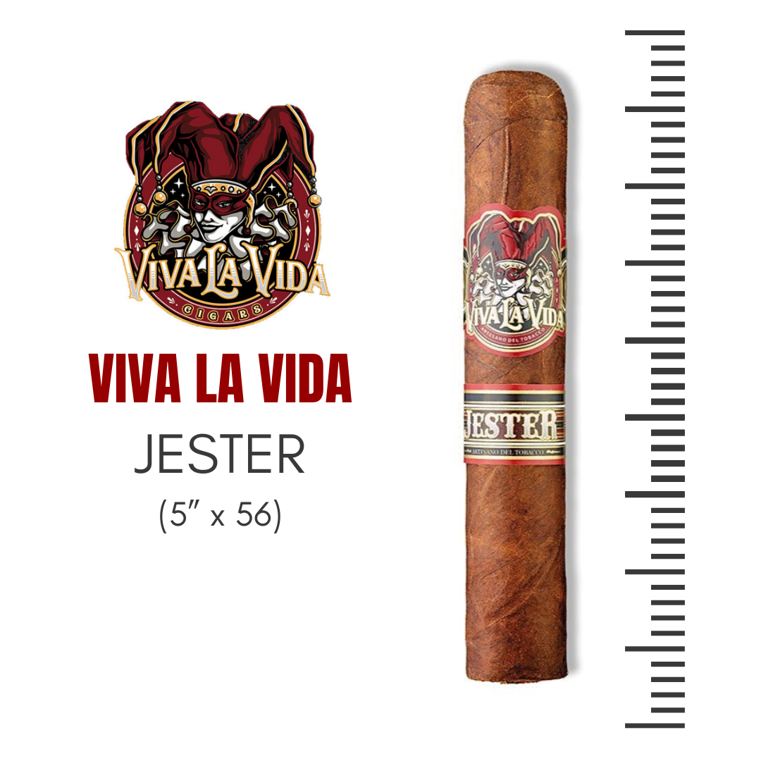 VIVA LA VIDA - JESTER